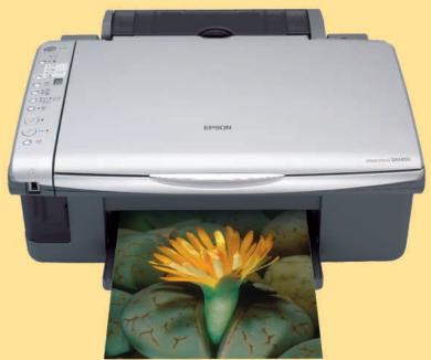 EPSON STYLUS DX4850 - 1