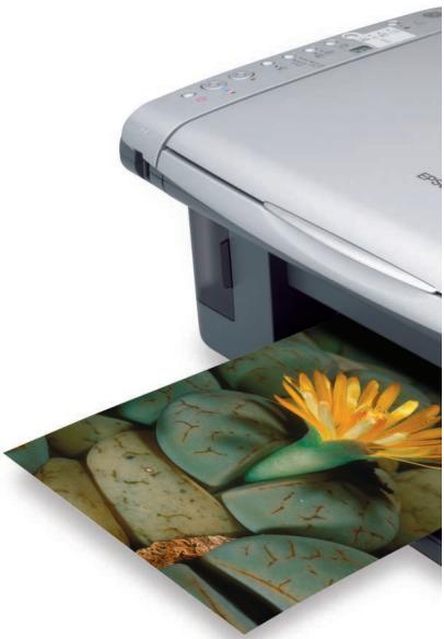 EPSON STYLUS DX4850 - La gamme Epson Stylus DX est une solution multifonction pour tous, des utilisateurs personnels aux petites entreprises. Compacts et abordables, les multifonctions de cette gamme offrent une qualité d'impression, de numérisation et de copie remarquables. - 1