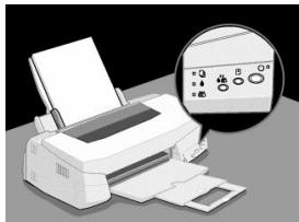 EPSON STYLUS PHOTO 750 - Important : - 1