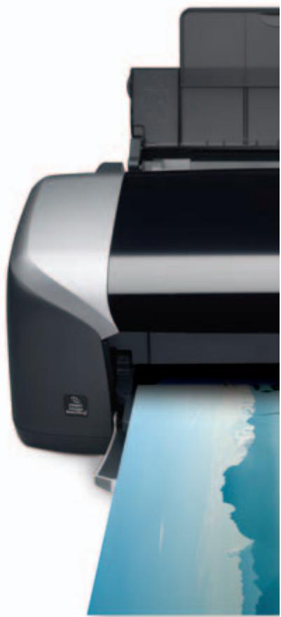 EPSON STYLUS PHOTO R320 - 1