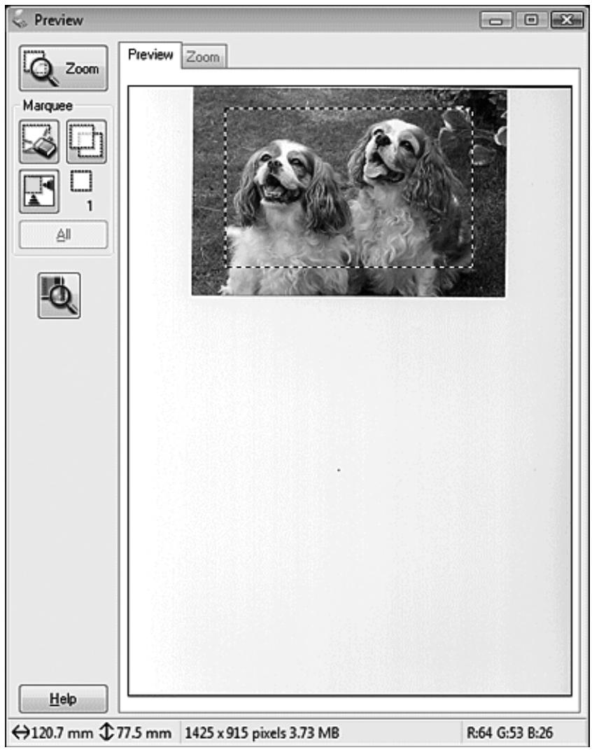 EPSON ACULASER MX20DNF - Création d'une zone de cadrage sur une image en aperçu - 1