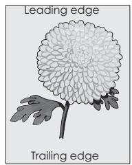 EPSON MX310 - Gray background on prints - 2
