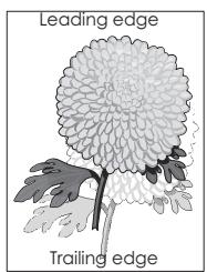 EPSON MX310 - Shadow images appear on prints - 2