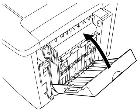 EPSON ACULASER C900 - Remarques : - 1