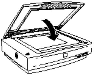 EPSON COLOR COPY STATION 8200 - Positionnement du document - 2
