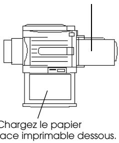 EPSON COLOR COPY STATION 8200 - Orientation du document/papier - 3