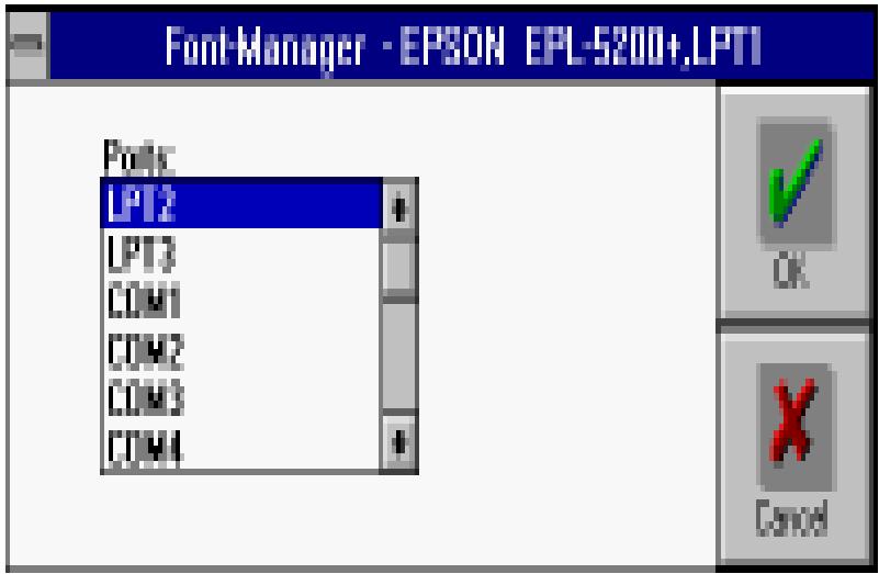 EPSON EPL-5000 - Copy Port - 1