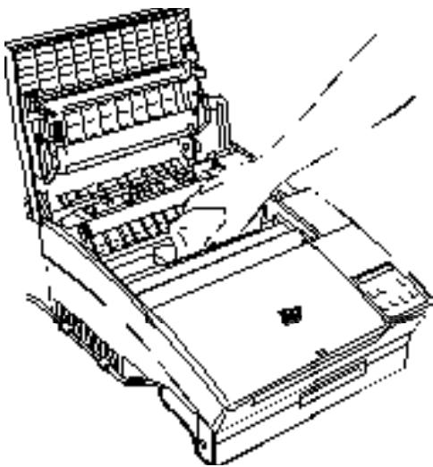 EPSON EPL-5000 - Warning: - 1