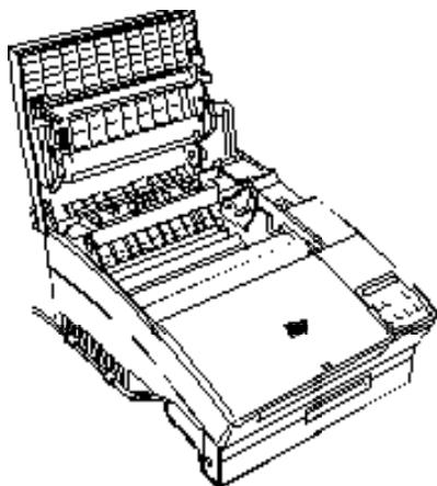 EPSON EPL-5000 - Laser Printer Precautions - 1