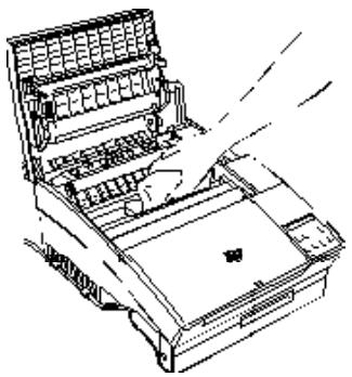 EPSON EPL-5600 - Nettoyage de l'imprimante - 1