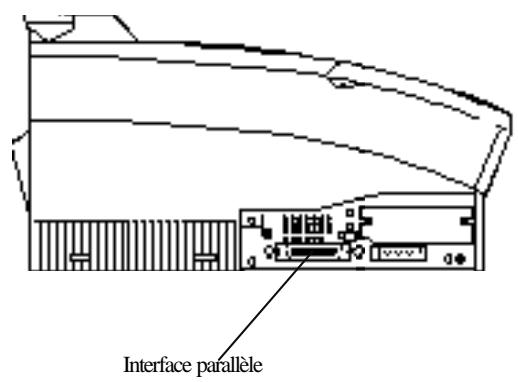 EPSON EPL-5600 - Connexion de l'imprimante à l'ordinateur - 1