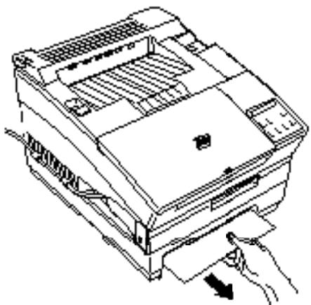 EPSON EPL-5600 - Problèmes d'options - 1