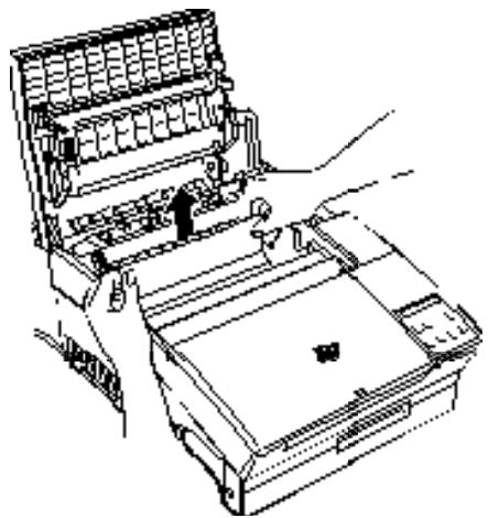 EPSON EPL-5600 - Introduction - 2