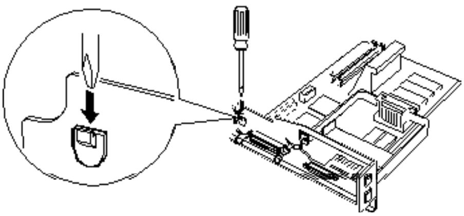 EPSON EPL-5600 - Installation du module LocalTalk - 1