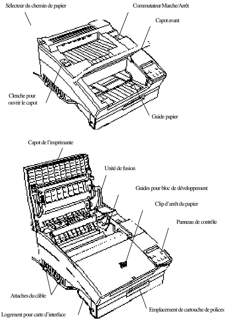 EPSON EPL-5600 - Eléments de l'imprimante - 1