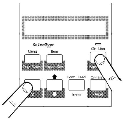 EPSON EPL-5600 - Remarques : - 1