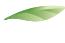 EPSON ACULASER C3900N - EPSON COVERPLUS - 1