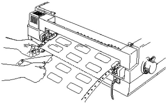 EPSON STYLUS 1500 - Retrait des étiquettes de l'imprimante - 1