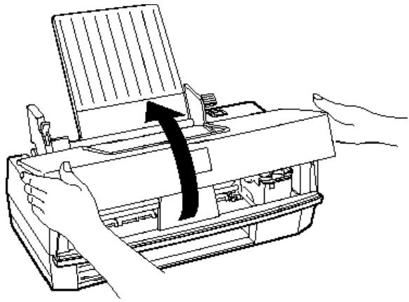 EPSON STYLUS COLOR 300 - Attention ! - 2