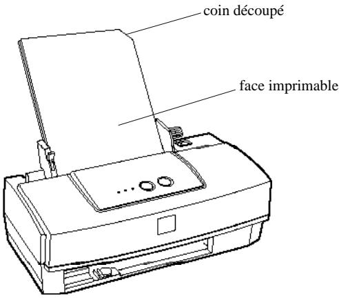 coin découpé face imprimable