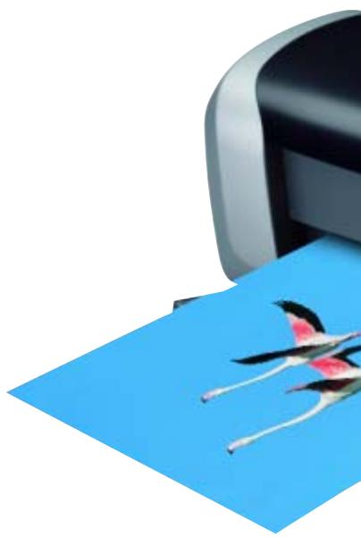 EPSON STYLUS D88 - Des logiciels simples d'utilisation - 1