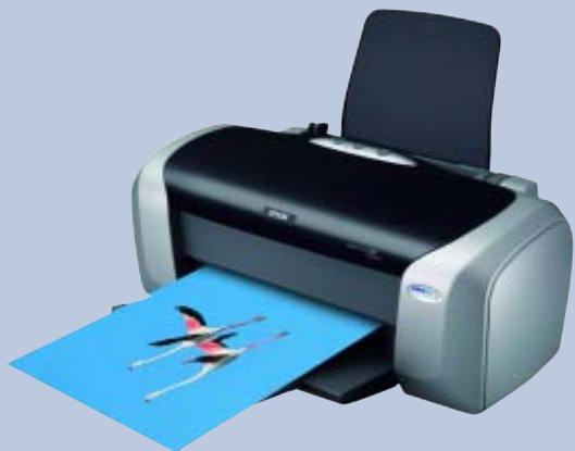 EPSON STYLUS D88 - 1