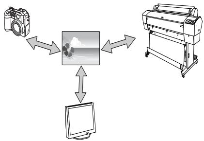 EPSON STYLUS PRO 9450 - Remarque : - 1