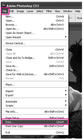 EPSON STYLUS PRO 7900 - Utilisation d'Adobe Photoshop CS3 - 1