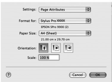 EPSON STYLUS PRO 7900 - Accès à la zone de dialogue Page Setup (Format d'impression) - 2