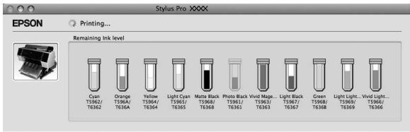 EPSON STYLUS PRO 7900 - Pour Windows - 2