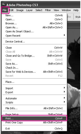 EPSON STYLUS PRO 7900 - Utilisation d'Adobe Photoshop CS3 - 1