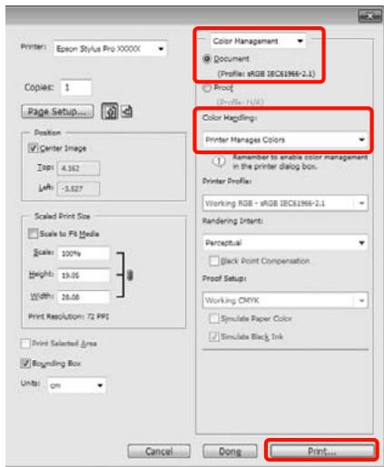 EPSON STYLUS PRO 4900 - Variétés d'impression - 1