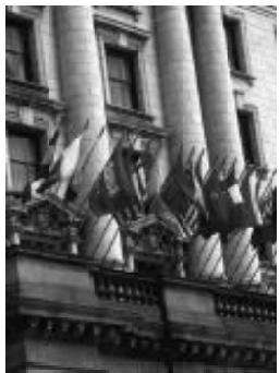 EPSON FILMSCAN 200 - Exposition - 2