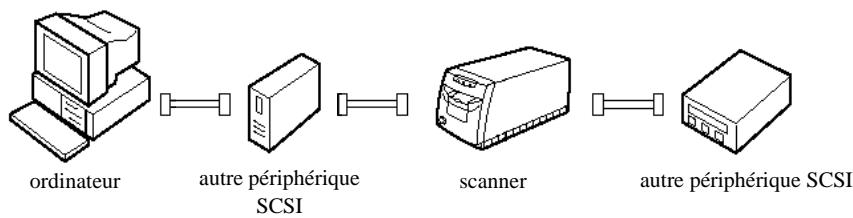 EPSON FILMSCAN 200 - Connexions SCSI - 1