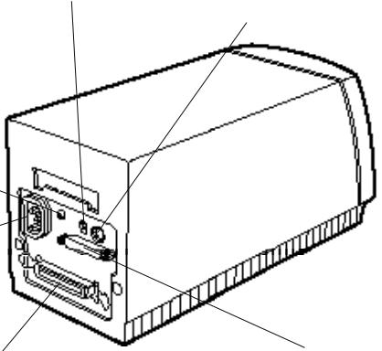 EPSON FILMSCAN 200 - Connecteur SCSI 50 broches - 1