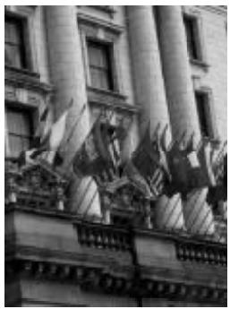 EPSON FILMSCAN 200 - Exposition - 1