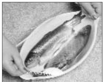 PANASONIC NN-Q523MF - Vis - 2