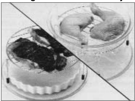 PANASONIC NN-Q523MF - Cooking small cuts of meat by Grill or Combination - 1