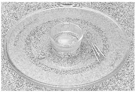 PANASONIC NN-Q543WF - Huevos y Queso - 1