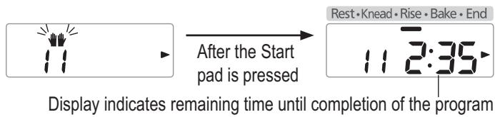 PANASONIC SD-2500 - Adding additional butter when the beep sounds, then press 'Start' again - 1