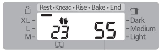Rest • Knead • Rise • Bake • End XL - L - M - 23 55 - Dark - Medium - Light