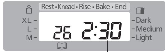 Rest • Knead • Rise • Bake • End XL - L - M- 26 2:30 - Dark - Medium - Light