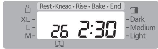 Rest • Knead • Rise • Bake • End XL - Dark L - Medium M - Light 26 2:30