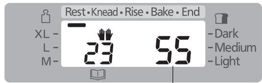 Rest • Knead • Rise • Bake • End XL - L - M - 23 55 - Dark - Medium - Light