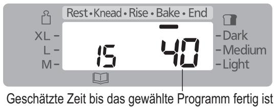 PANASONIC SD-2501WXE - Kuchen backen - 7