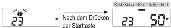 PANASONIC SD-2501WXE - Wenn der Piepton ertönt, wird weitere Butter hinzugefügt, drücken Sie dann die 'Start' erneut. - 1