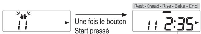 Une fois le bouton Start pressé Rest·Knead·Rise·Bake·End 11 2:35