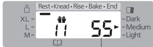 Rest • Knead • Rise • Bake • End XL - 11 55 L - M - - Dark - Medium - Light