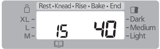 Rest • Knead • Rise • Bake • End XL - L- M- 15 40 - Dark - Medium - Light