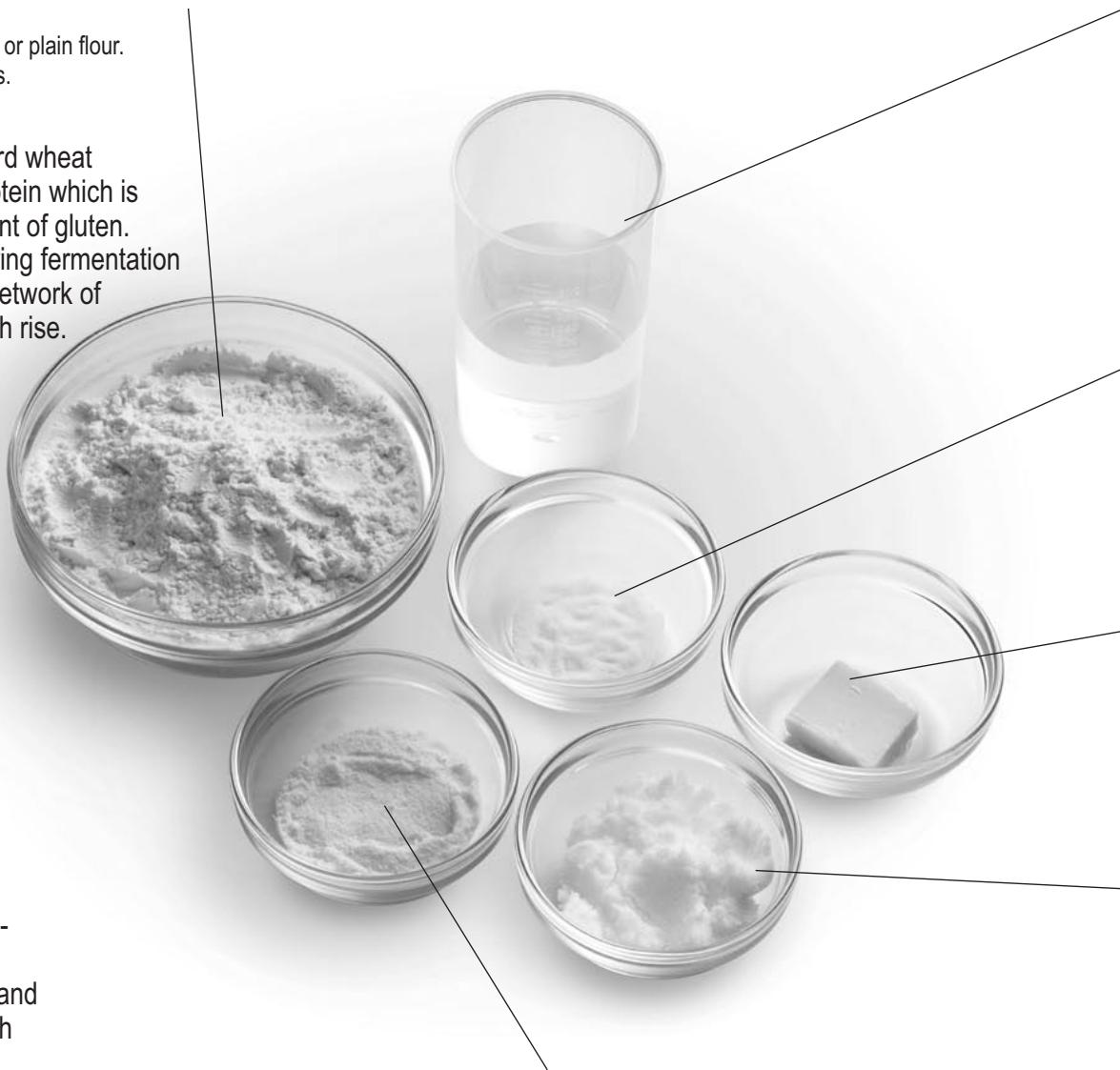PANASONIC SD 2501 - Rye flour - 1